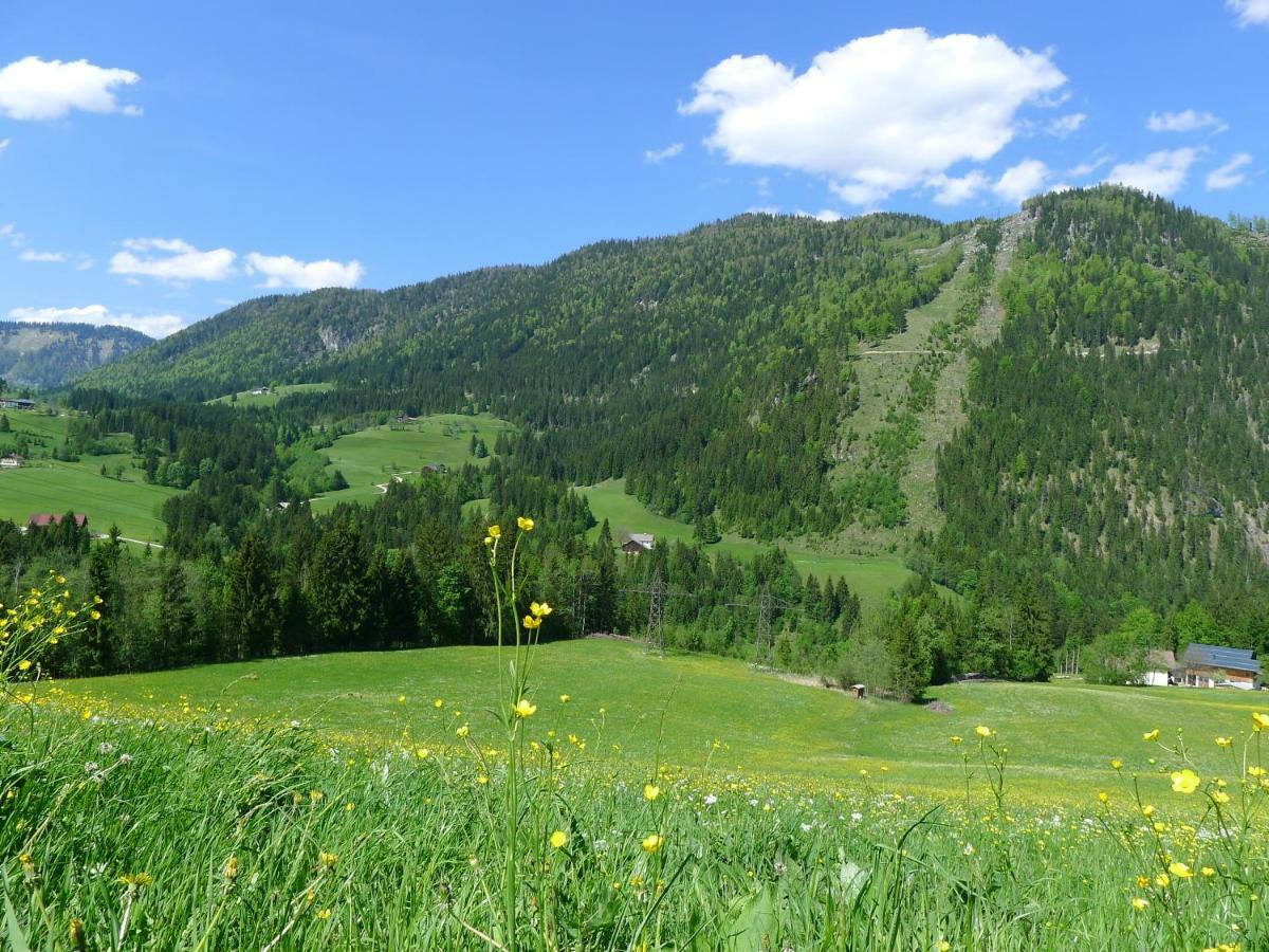 Alpenhaus Dachstein.Zauber Διαμέρισμα Abtenau Εξωτερικό φωτογραφία