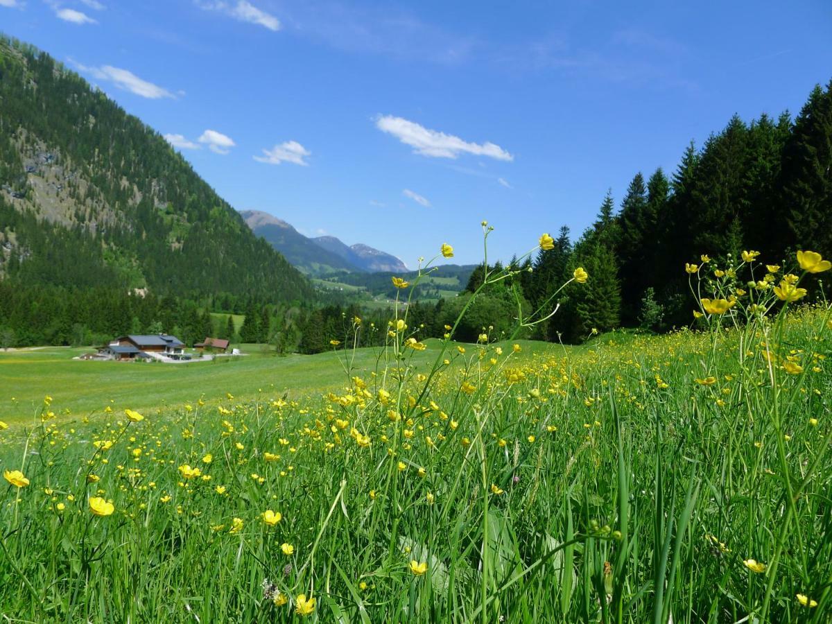 Alpenhaus Dachstein.Zauber Διαμέρισμα Abtenau Εξωτερικό φωτογραφία