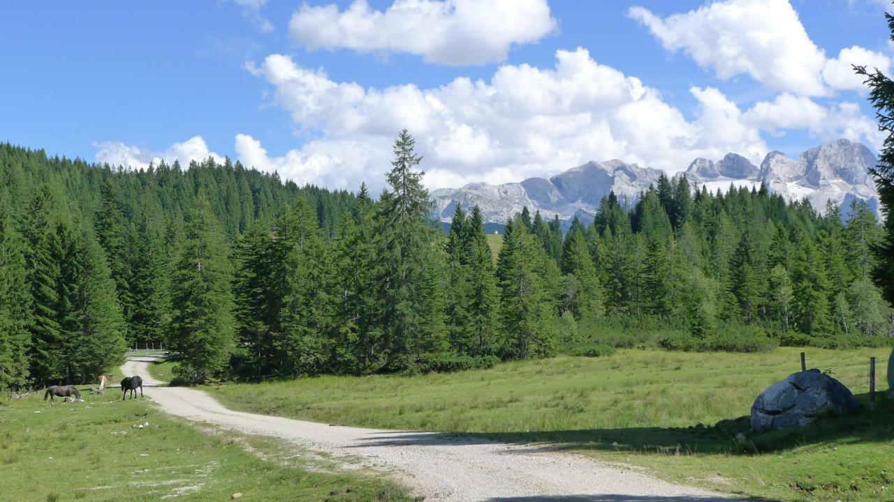 Alpenhaus Dachstein.Zauber Διαμέρισμα Abtenau Εξωτερικό φωτογραφία