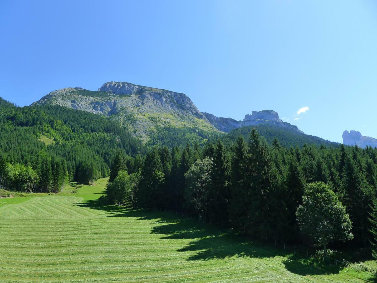 Alpenhaus Dachstein.Zauber Διαμέρισμα Abtenau Εξωτερικό φωτογραφία