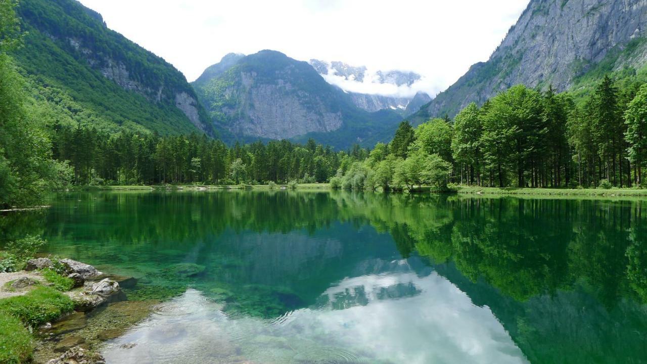 Alpenhaus Dachstein.Zauber Διαμέρισμα Abtenau Εξωτερικό φωτογραφία