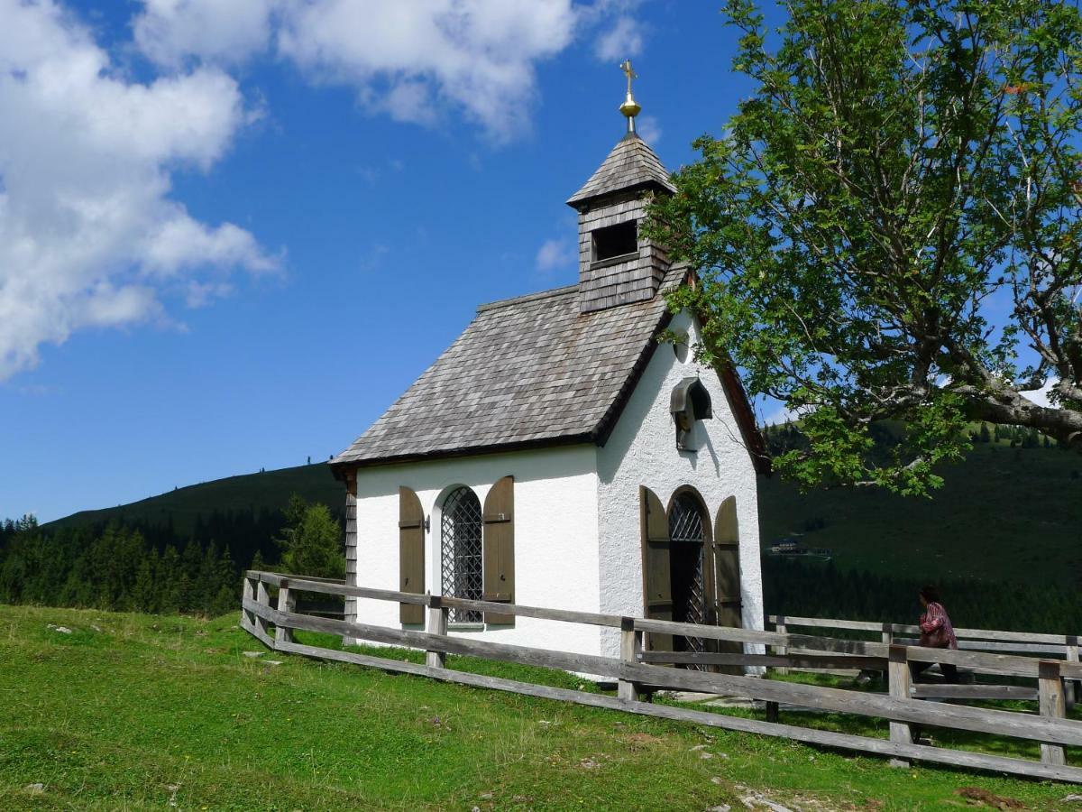 Alpenhaus Dachstein.Zauber Διαμέρισμα Abtenau Εξωτερικό φωτογραφία