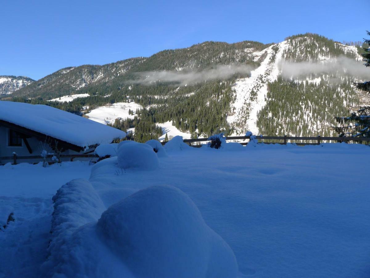 Alpenhaus Dachstein.Zauber Διαμέρισμα Abtenau Εξωτερικό φωτογραφία