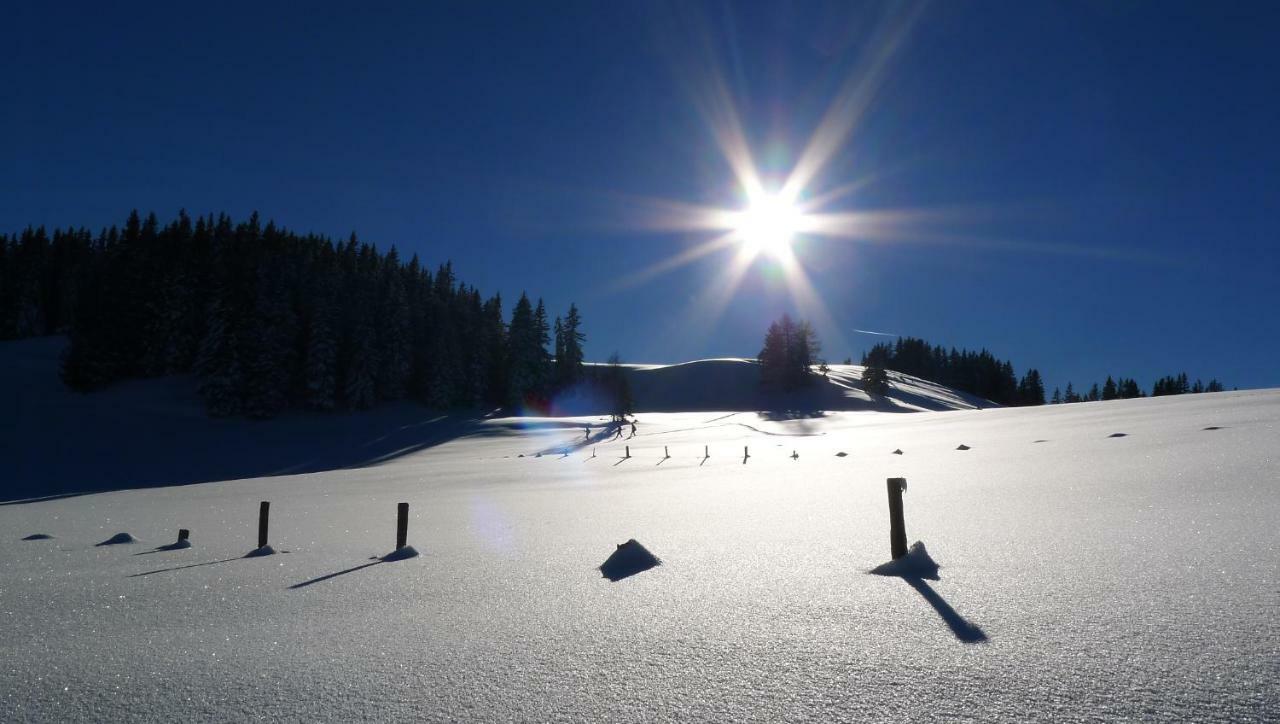 Alpenhaus Dachstein.Zauber Διαμέρισμα Abtenau Εξωτερικό φωτογραφία