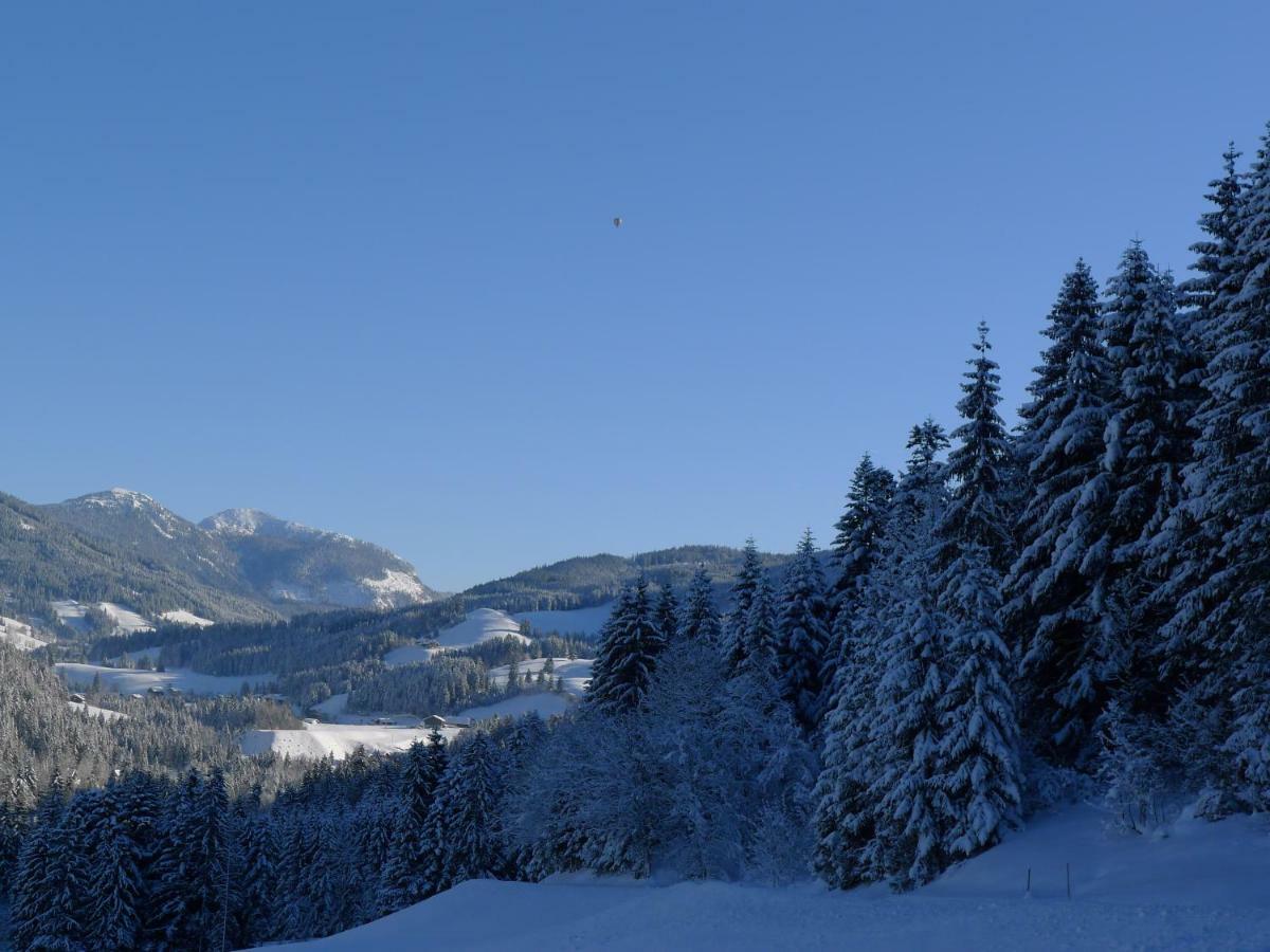 Alpenhaus Dachstein.Zauber Διαμέρισμα Abtenau Εξωτερικό φωτογραφία