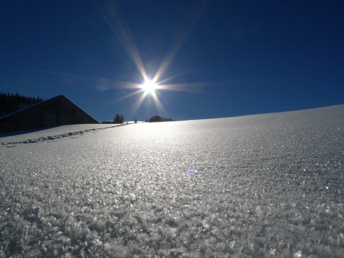 Alpenhaus Dachstein.Zauber Διαμέρισμα Abtenau Εξωτερικό φωτογραφία